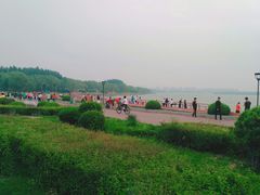 -丁香湖公园