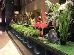 -星聚会KTV(景枫中心店)