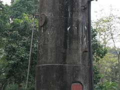 -广西壮族自治区药用植物园