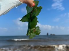 -碣石国家级海洋公园