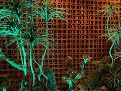-泰适SPA馆丨精油·按摩·足道(购物公园店)