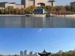 -莲花池公园