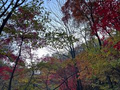 -关门山森林公园