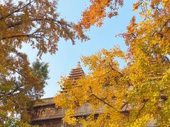 -北京石刻艺术博物馆(五塔寺)