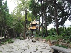 -嘉定紫藤园