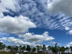 -春花秋色城市公园