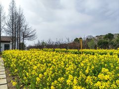 -柳鹭田园区
