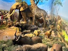 -陕西自然博物馆