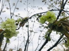 -堤角公园