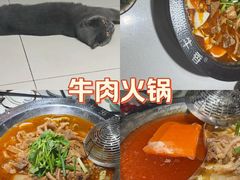 -古乐牛香·鲜牛肉牛杂火锅(千灯店)