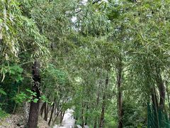 -四门塔风景区