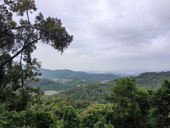 -广州市帽峰山景区
