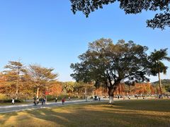 -东莞植物园