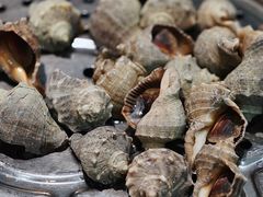 -海岛渔村大酒店(云霄路店)