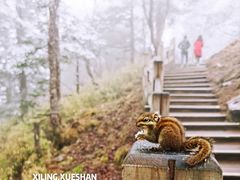 -花水湾第一村温泉大酒店