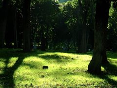 -天鹅湖体育公园