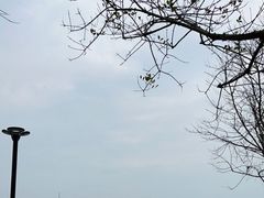 -青岛石老人海水浴场