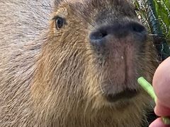 -郑州银基黄帝宫御温泉