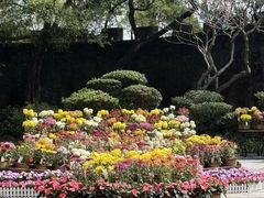 -广州莲花山旅游区
