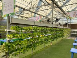 -阿菠萝小猪农场·萌宠乐园·亲子游·研学