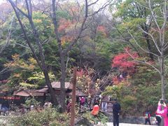 -天女山森林公园