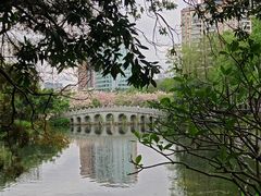 -四海公园(南山区)