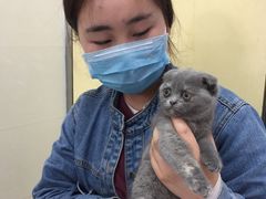 -瑞鹏宠物医院·微创内窥镜·骨外科·牙科(翠竹分院)