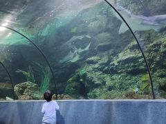 -南昌海洋公园