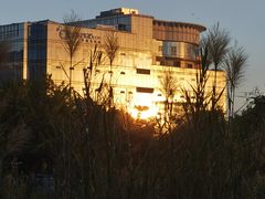 -福田红树林生态公园