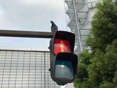-秋叶原电器街