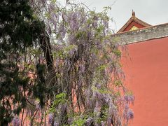 -北京市劳动人民文化宫(太庙)