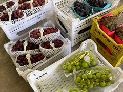 -马陆小张葡萄园农家乐