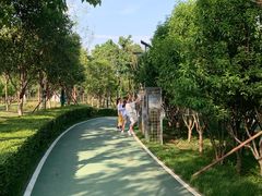 -洨河生态公园