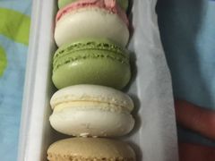 -BLACKSWAN黑天鹅(环球店)