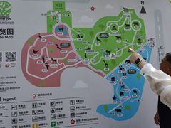 -鸡鸣汤包(红山动物园店)