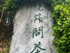-龙井村