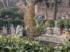 -青岛德国总督楼旧址博物馆