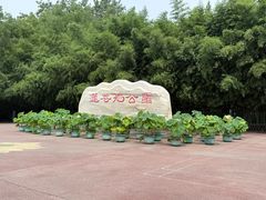 -莲花池公园