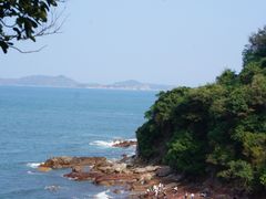 -杨梅坑