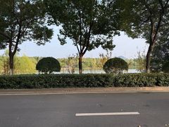 -羊山湖公园