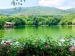 -紫霞湖公园