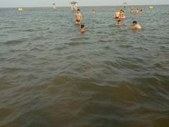 -碧海金沙