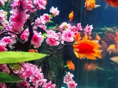 -常州海昌海洋探索馆