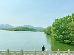 -佛手湖郊野公园