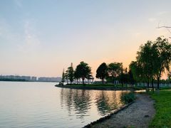 -西山漾湿地公园