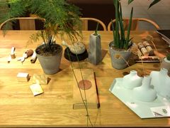 -柴务处·柴犬主题狗咖