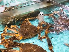 水产区-渔民新村(番禺总店)