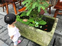 -安仁古镇