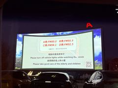 -枫花园汽车电影院(朝阳公园店)