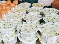 -德禄酸奶(莫家街店)